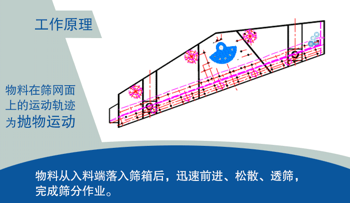 大型振動篩