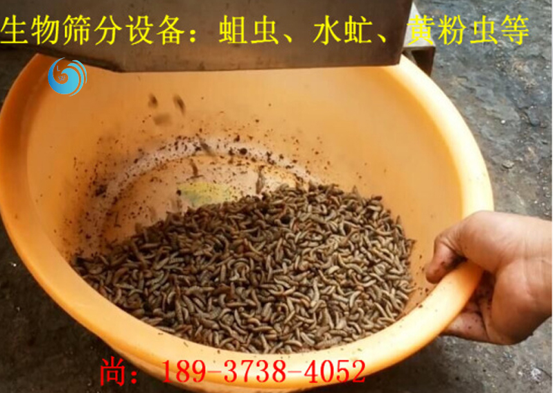 蛆蟲分離篩選機(jī)